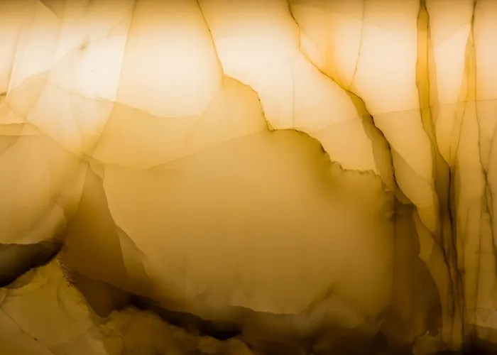 Foch Boutique & Bordeaux