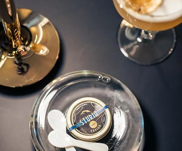 Hotel Foch Boutique & 5*