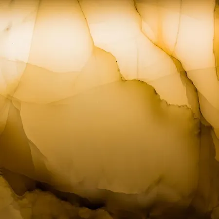 Foch Boutique & Bordeaux